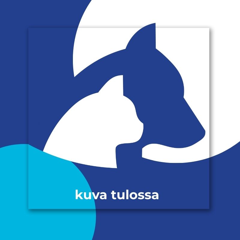 kuva tulossa (1)